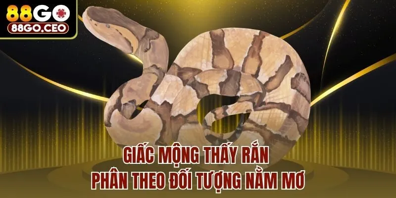 Nằm Mơ Thấy Rắn Tốt Hay Xấu, Liên Quan Đến Số Lô Đề Nào? 4 Giấc mộng thấy rắn phân theo đối tượng nằm mơ