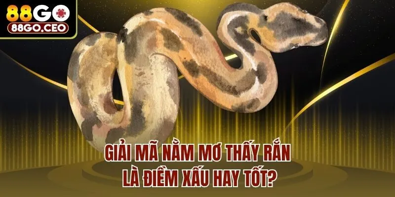 Nằm Mơ Thấy Rắn Tốt Hay Xấu, Liên Quan Đến Số Lô Đề Nào? 2 Giải mã nằm mơ thấy rắn là điềm xấu hay tốt?