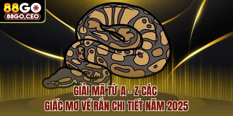 Nằm Mơ Thấy Rắn Tốt Hay Xấu, Liên Quan Đến Số Lô Đề Nào? 3 Giải mã từ A - Z các giấc mơ về rắn chi tiết năm 2025
